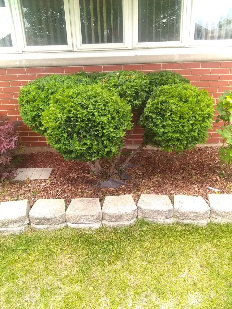 Affordable landscape design in Chicago, IL - Robert's Lawn Care