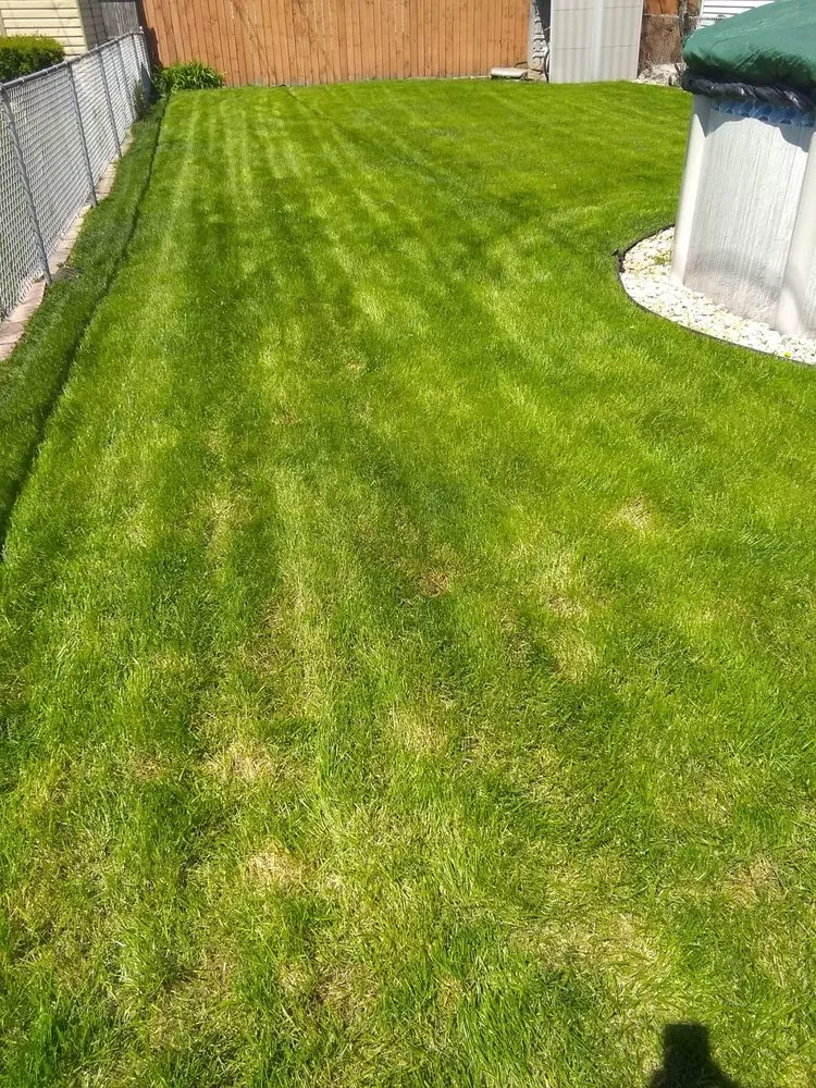 Top-rated lawn care service for residential properties in Chicago, IL by Robert's Lawn Care