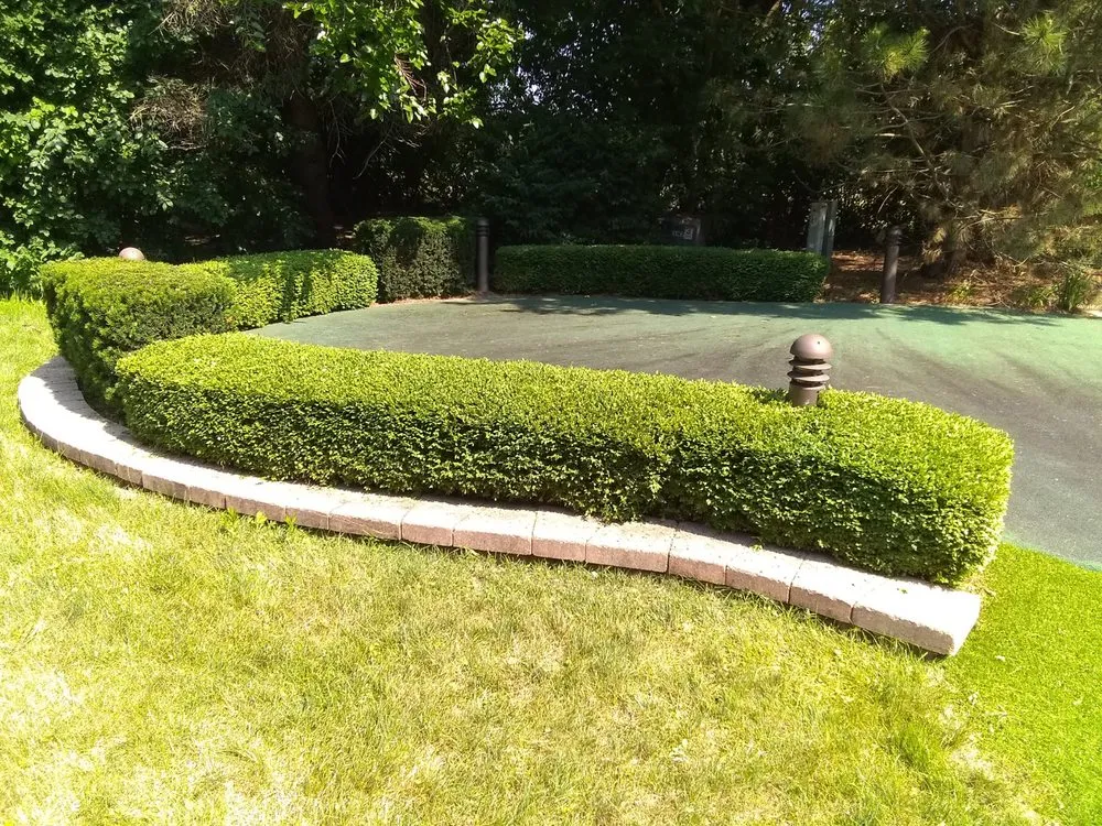 Trusted lawn mowing service near you across Chicago, IL - Robert's Lawn Care