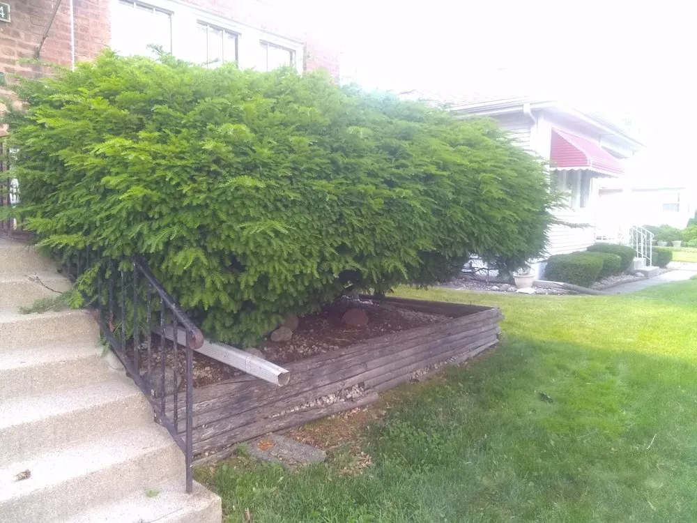 Top-rated outdoor landscaping experts serving Chicago, IL - Robert's Lawn Care