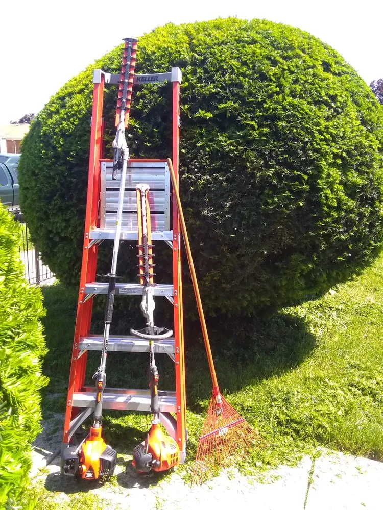 Top-rated residential landscaping for year-round maintenance in Chicago, IL by Robert's Lawn Care