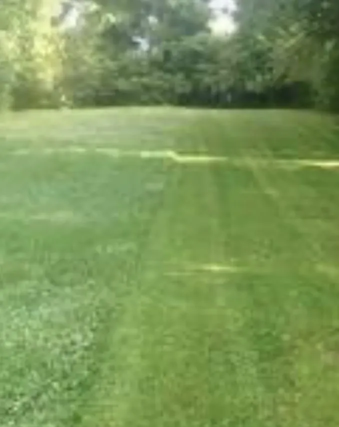 Custom residential landscaping experts serving Santee, SC - Roberts Lawn Care