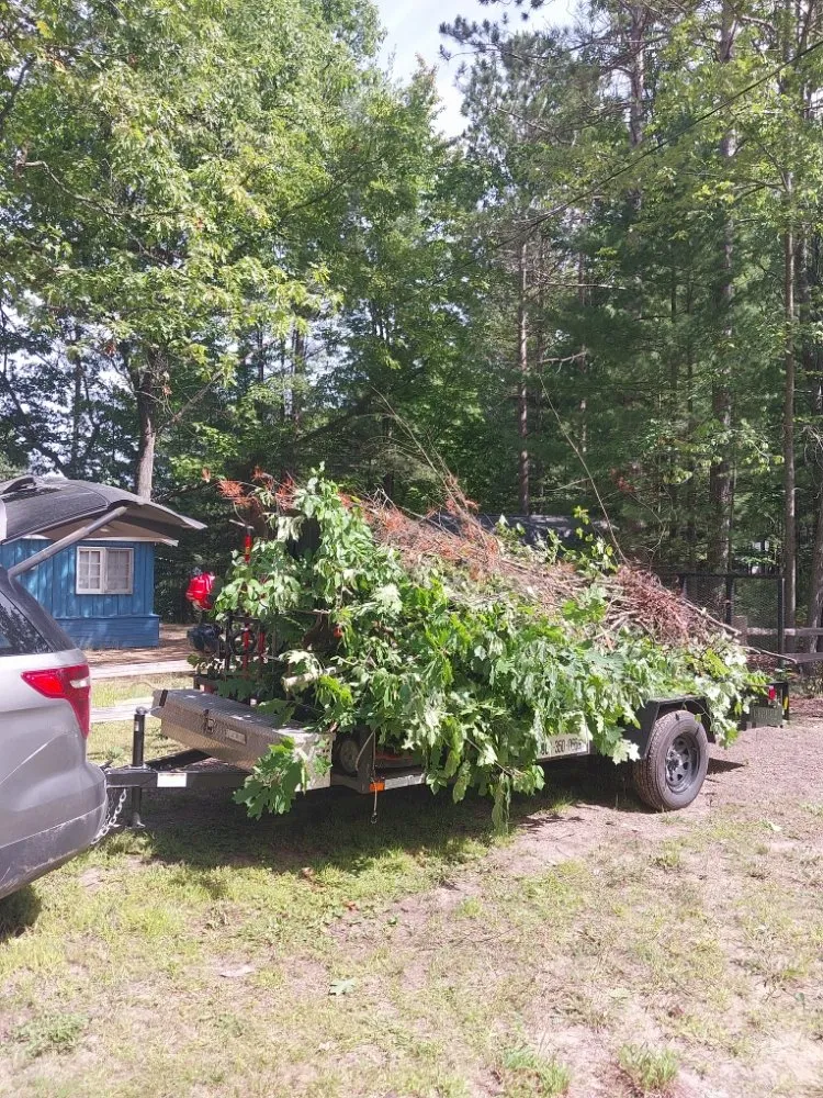 Trusted yard cleanup service in Kalkaska, MI - Robert's Lawn Service