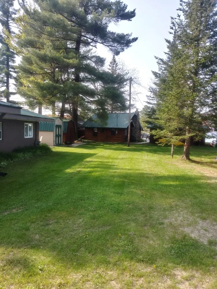 Affordable yard cleanup service experts serving Kalkaska, MI - Robert's Lawn Service