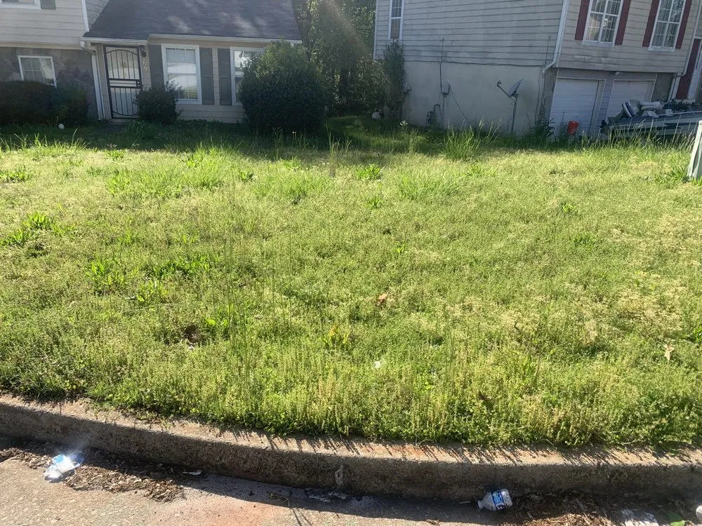 Affordable yard cleanup service for outdoor upgrades across Stone Mountain, GA - Roberts Lawn Service