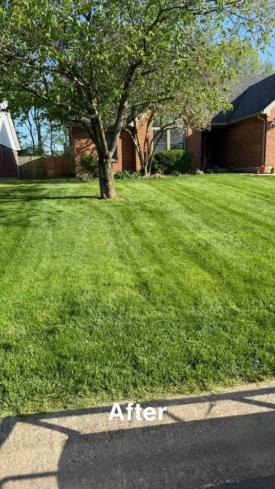 Custom landscape installation for beautiful yards across Charlestown, IN - Roberts Lawncare