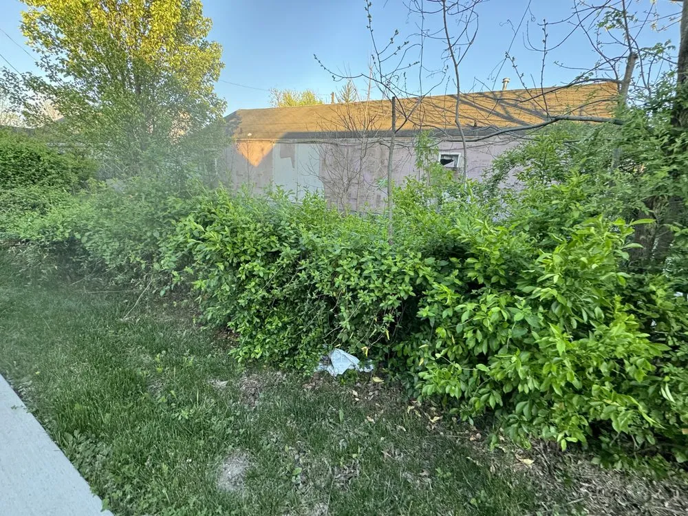 Reliable lawn mowing service for residential properties across Charlestown, IN - Roberts Lawncare