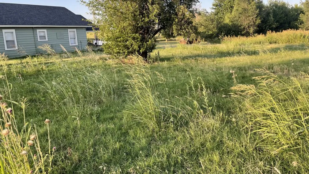 Top-rated outdoor landscaping experts serving Apache, OK - Roberts Mowing
