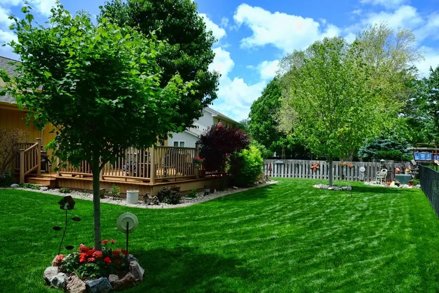 Trusted lawn care service in Omaha, NE - Robert's Nursery Landscapes and Lawn