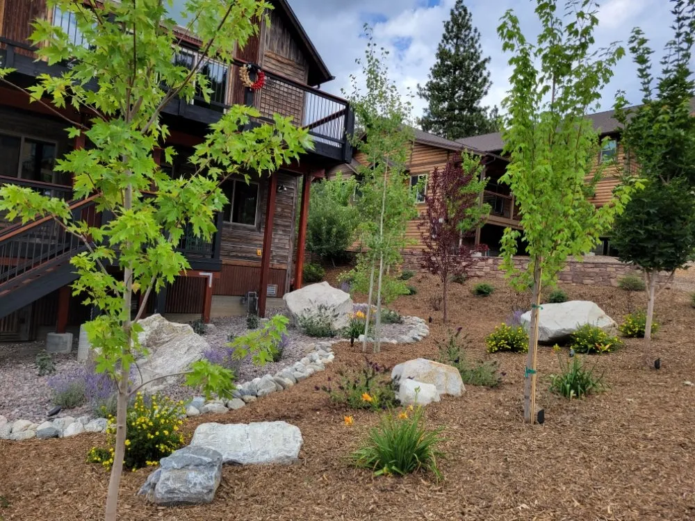 Reliable lawn care service experts serving Big Bear, CA - Roberts Outdoor