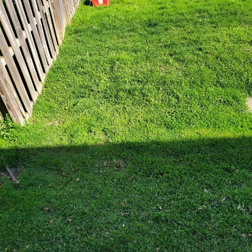 Reliable yard cleanup service in fallston, MD - Robert's Outdoor Services