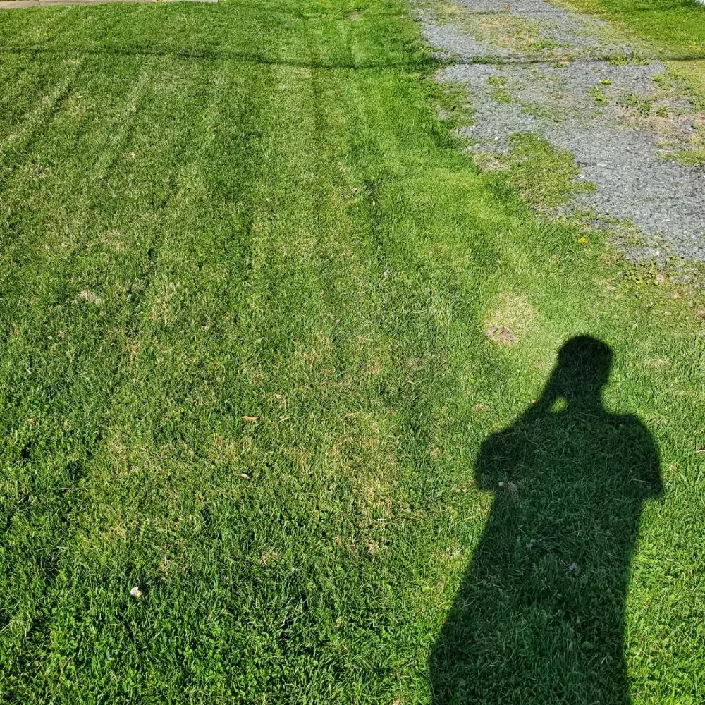 Expert landscaping services in fallston, MD - Robert's Outdoor Services