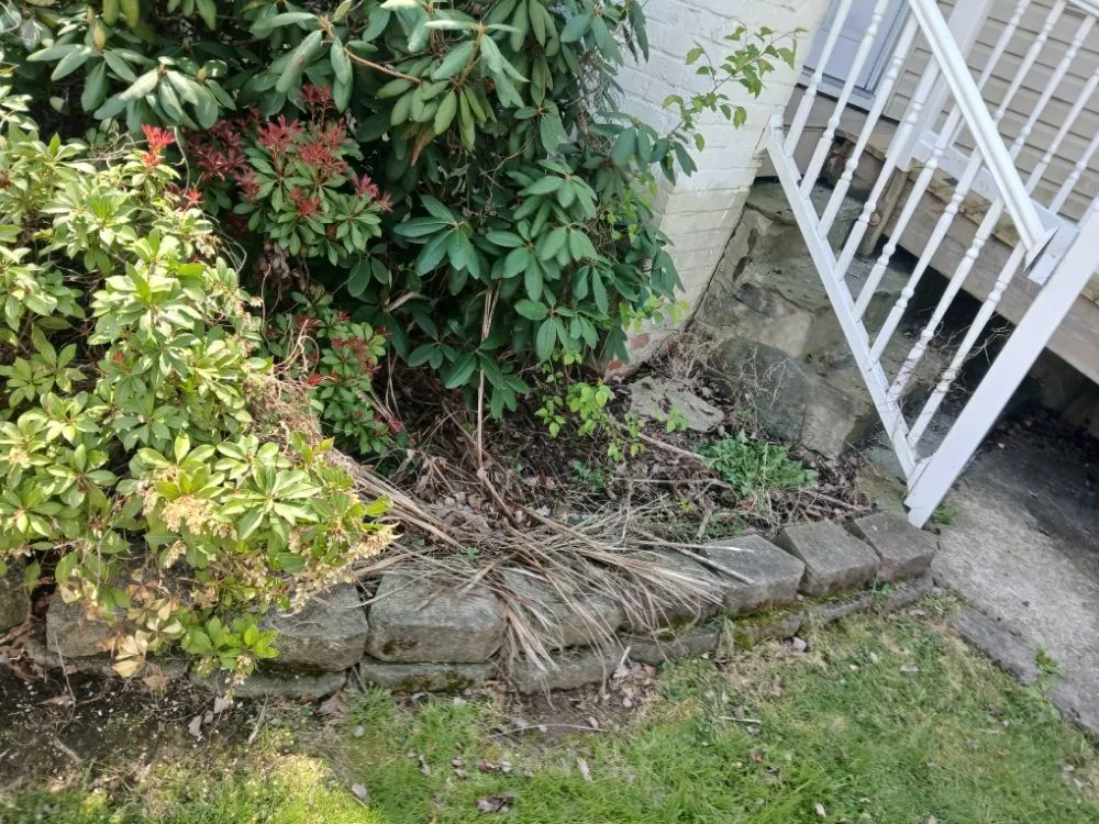 Trusted lawn care service experts serving fallston, MD - Robert's Outdoor Services