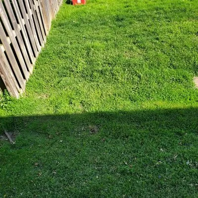 Robert's Outdoor Services Logo