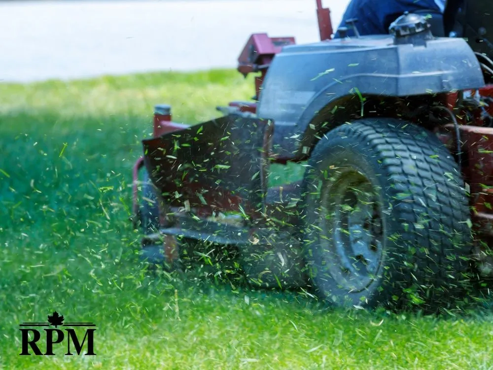 Local yard maintenance experts serving Thomaston, CT - Roberts Property Management