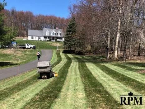 Reliable yard cleanup service in Thomaston, CT by Roberts Property Management