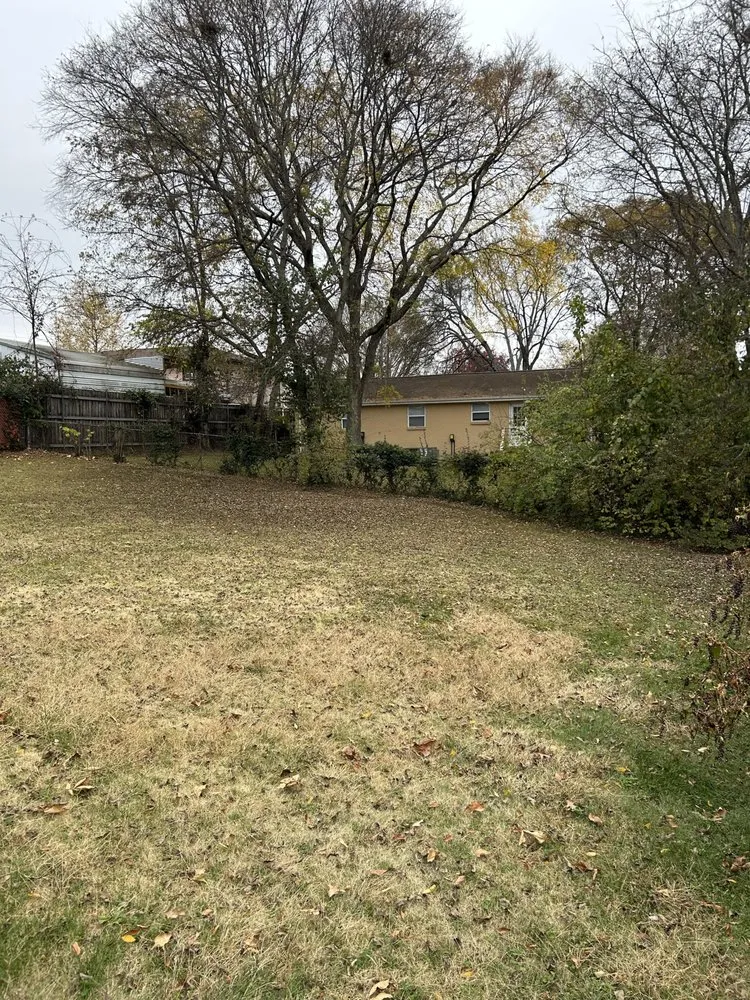 Local landscape design for year-round maintenance in Nashville, TN by Robert’s Touch Landscaping Service