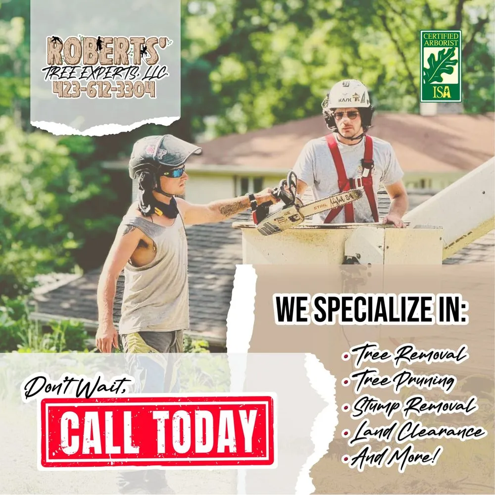 Affordable lawn care service in Bristol, TN by Roberts’ Tree Experts