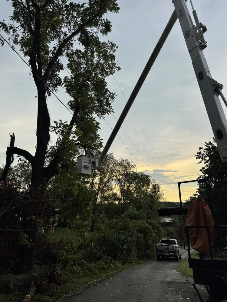 Top-rated garden landscaping in Bristol, TN by Roberts’ Tree Experts