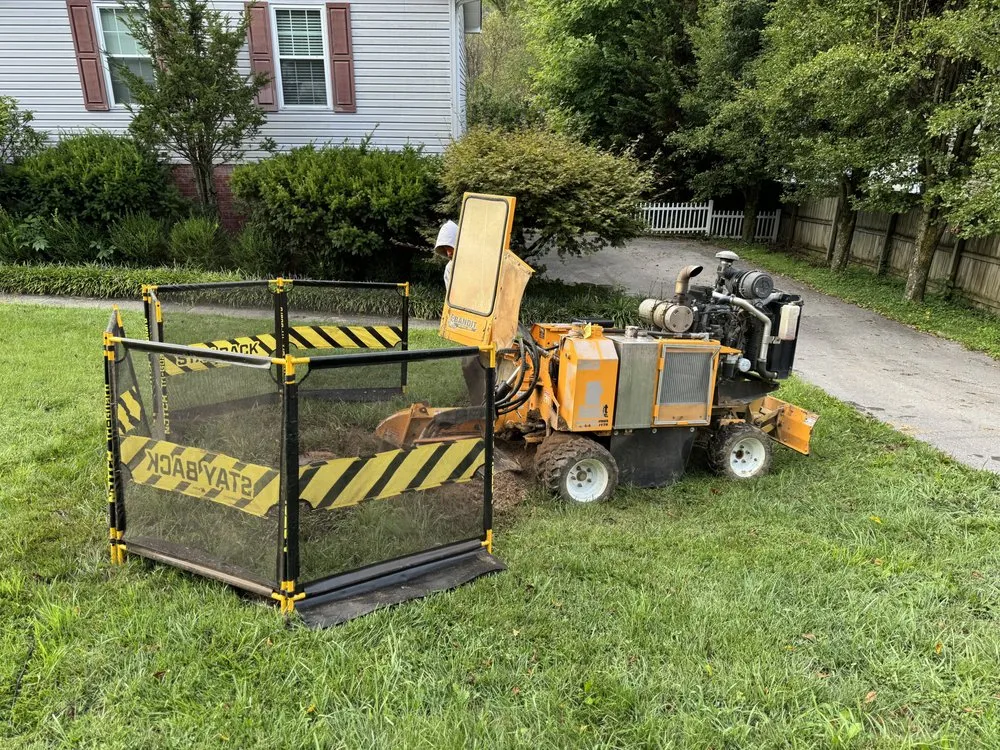 Reliable yard cleanup service in Bristol, TN by Roberts’ Tree Experts