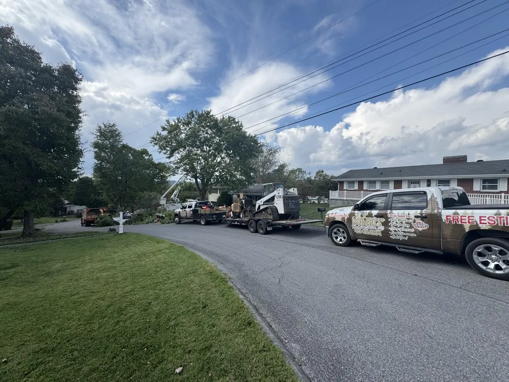 Professional residential landscaping in Bristol, TN - Roberts’ Tree Experts