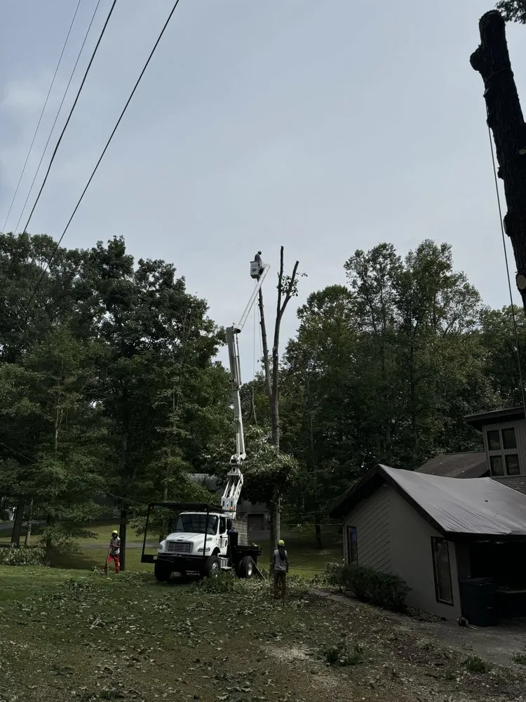 Local lawn mowing service experts serving Bristol, TN - Roberts’ Tree Experts