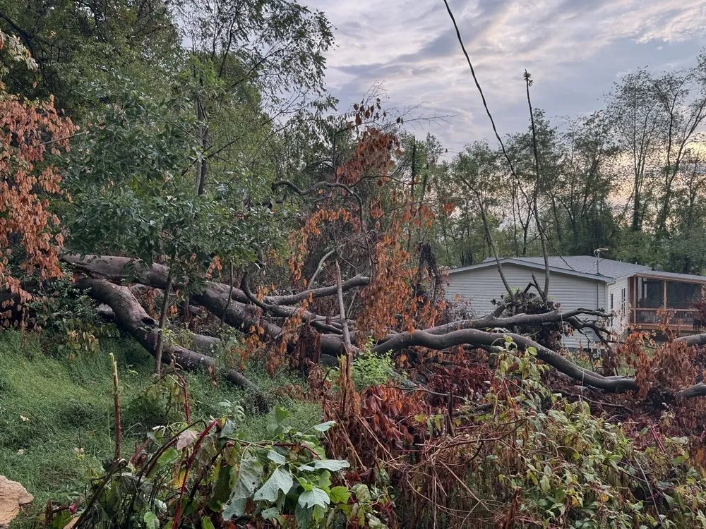 Top-rated yard maintenance in Bristol, TN by Roberts’ Tree Experts