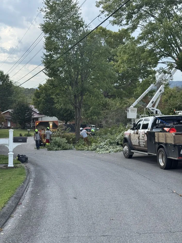 Professional landscape design near you across Bristol, TN - Roberts’ Tree Experts