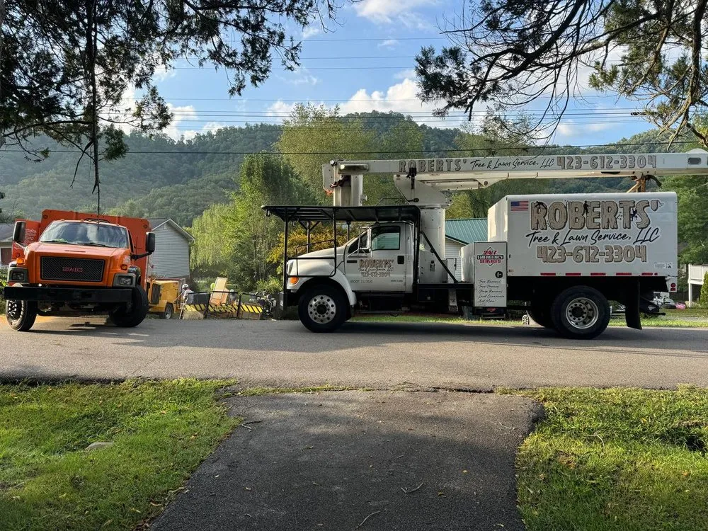 Top-rated landscape installation in Bristol, TN by Roberts’ Tree Experts