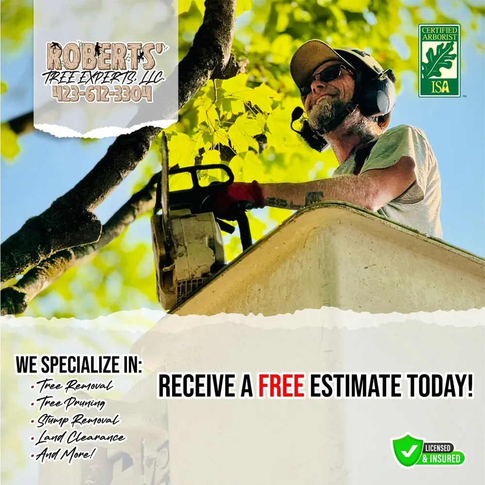 Custom lawn care service in Bristol, TN - Roberts’ Tree Experts