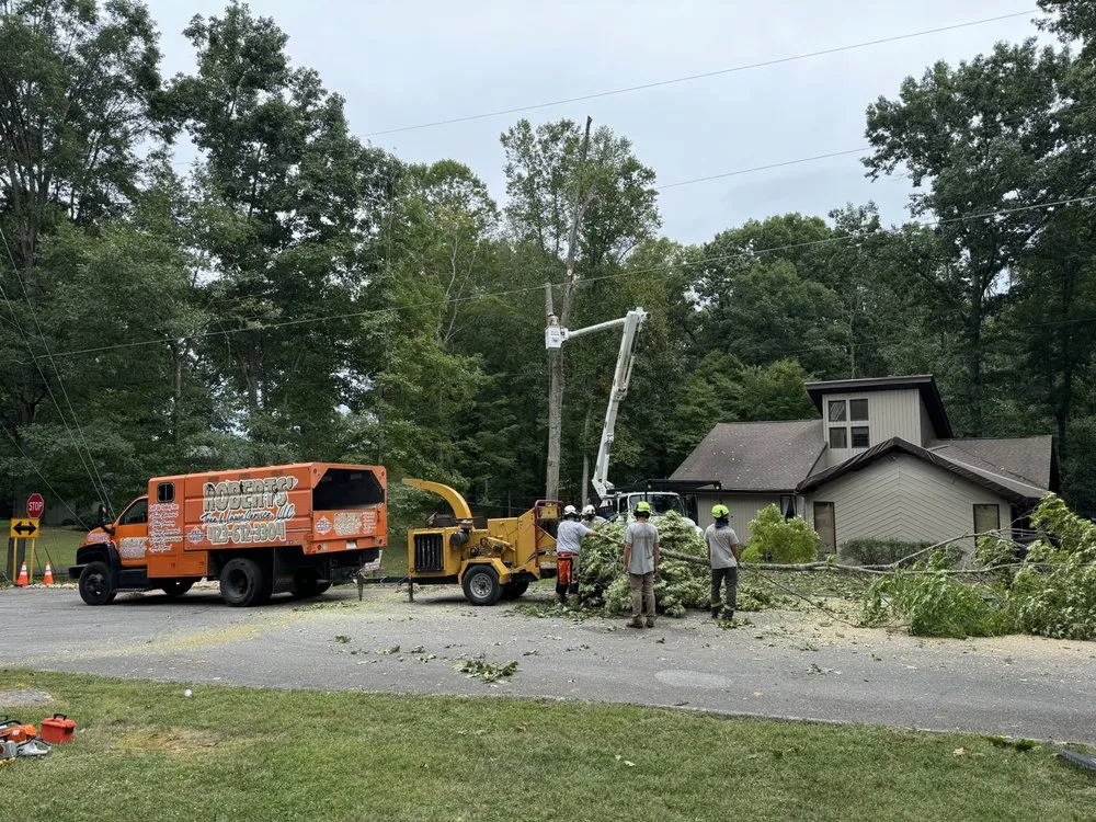 Trusted lawn mowing service experts serving Bristol, TN - Roberts’ Tree Experts