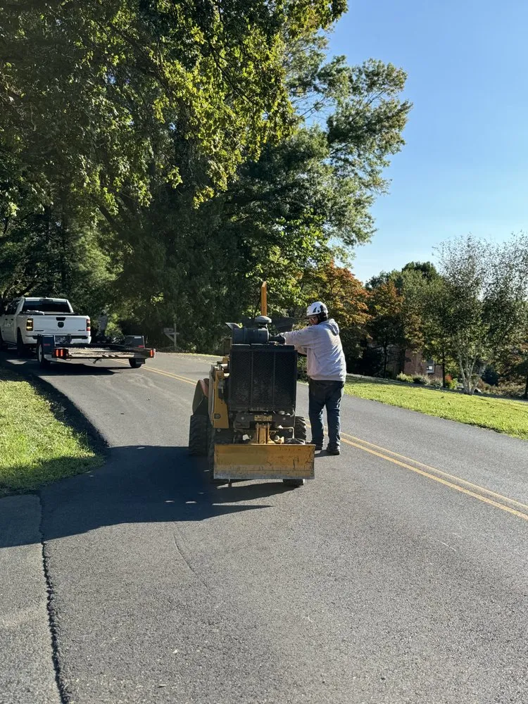 Top-rated landscaping services with custom design across Bristol, TN - Roberts’ Tree Experts