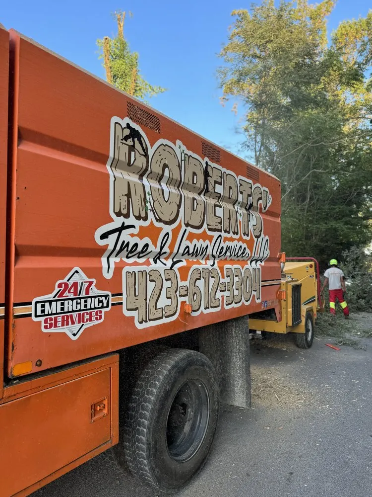 Custom landscaping services experts serving Bristol, TN - Roberts’ Tree Experts