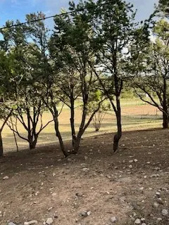 Expert landscape installation for homes across Albuquerque, NM - Roberts Tree Service