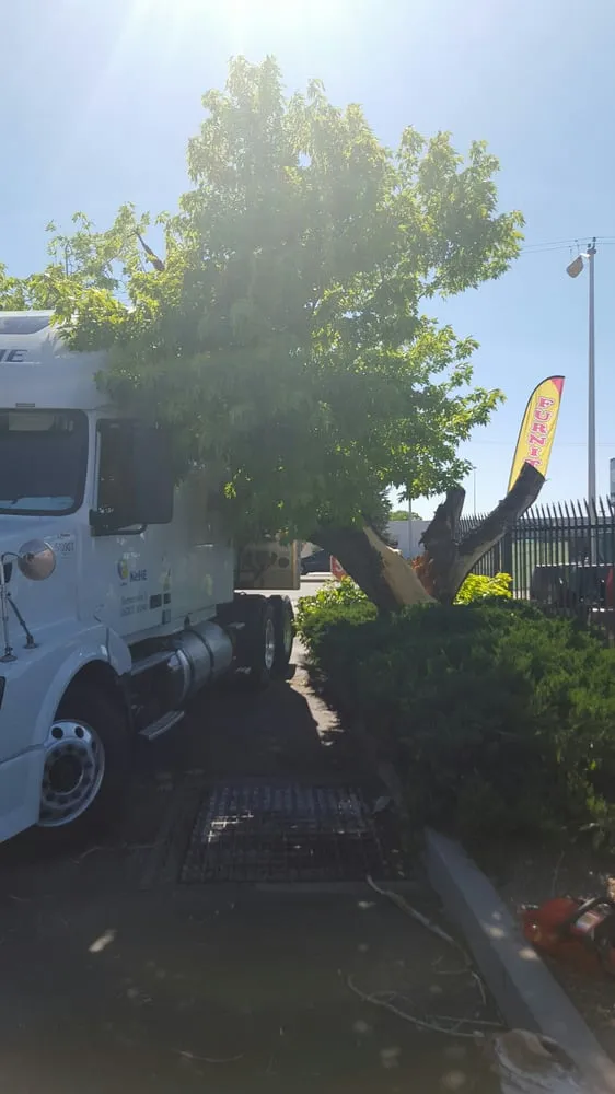 Custom landscape design for residential properties in Albuquerque, NM by Roberts Tree Service