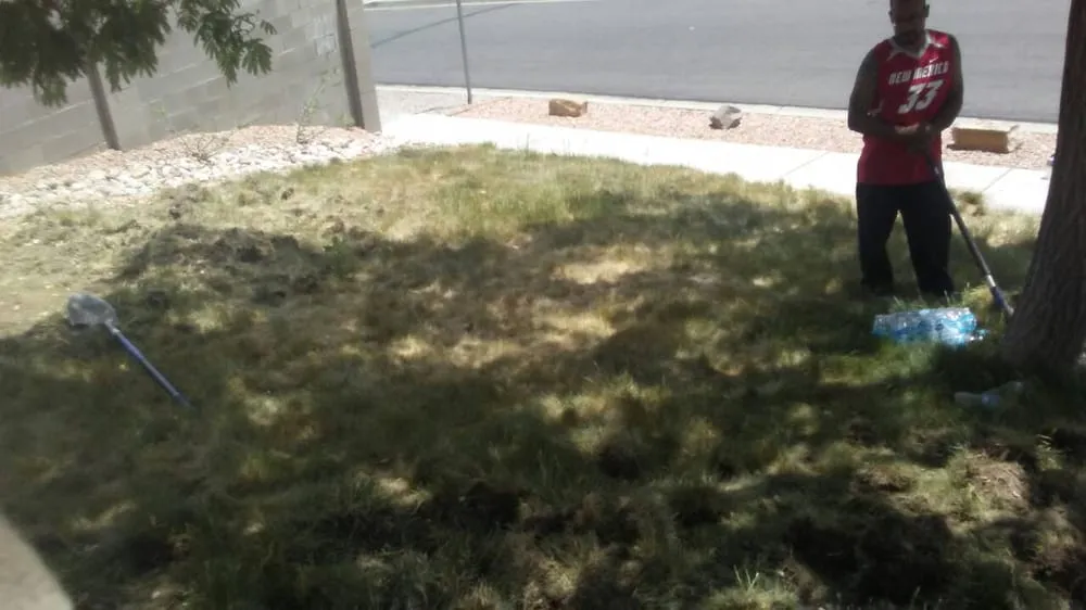 Reliable garden landscaping experts serving Albuquerque, NM - Roberts Tree Service