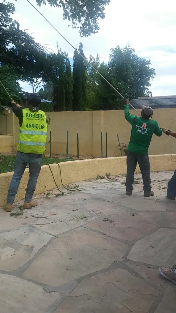 Local lawn mowing service with custom design across Albuquerque, NM - Roberts Tree Service