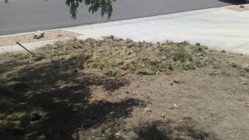 Professional garden landscaping in Albuquerque, NM by Roberts Tree Service