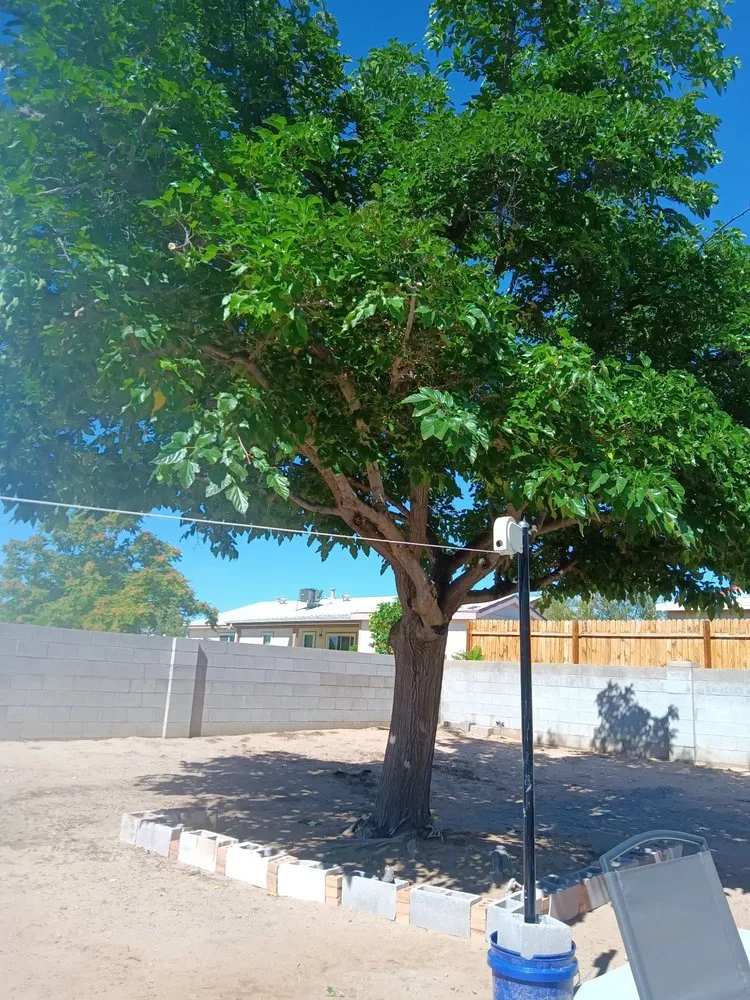Professional landscape design experts serving Albuquerque, NM - Roberts Tree Service