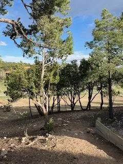 Trusted landscape design experts serving Albuquerque, NM - Roberts Tree Service