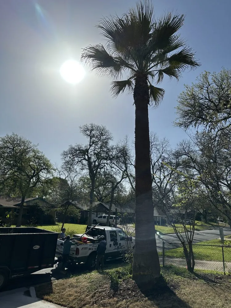 Expert lawn mowing service for homes across Austin, TX - Robert's Tree Service