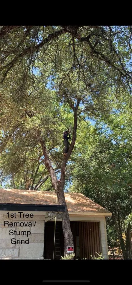 Top-rated outdoor landscaping in Austin, TX - Robert's Tree Service