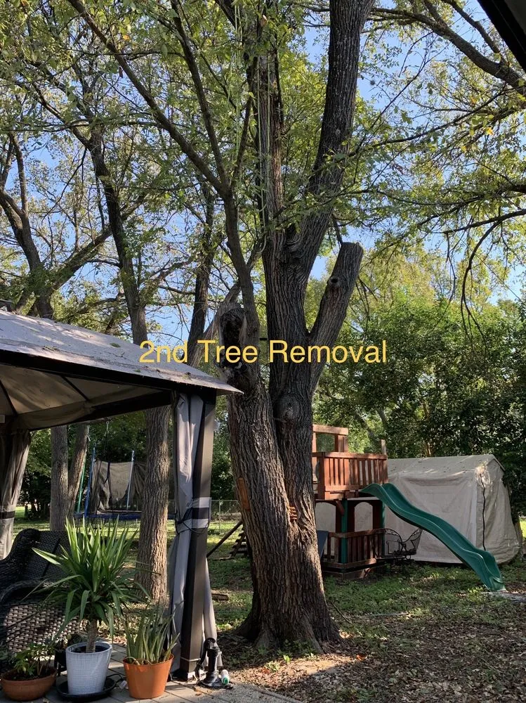 Reliable landscape installation for beautiful yards in Austin, TX by Robert's Tree Service