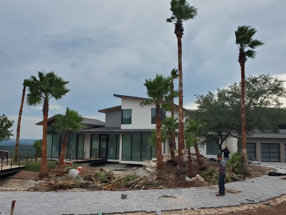 Reliable lawn care service in Austin, TX - Robert's Tree Service