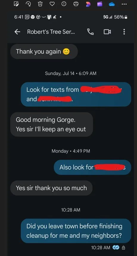 Expert yard maintenance in Austin, TX - Robert's Tree Service