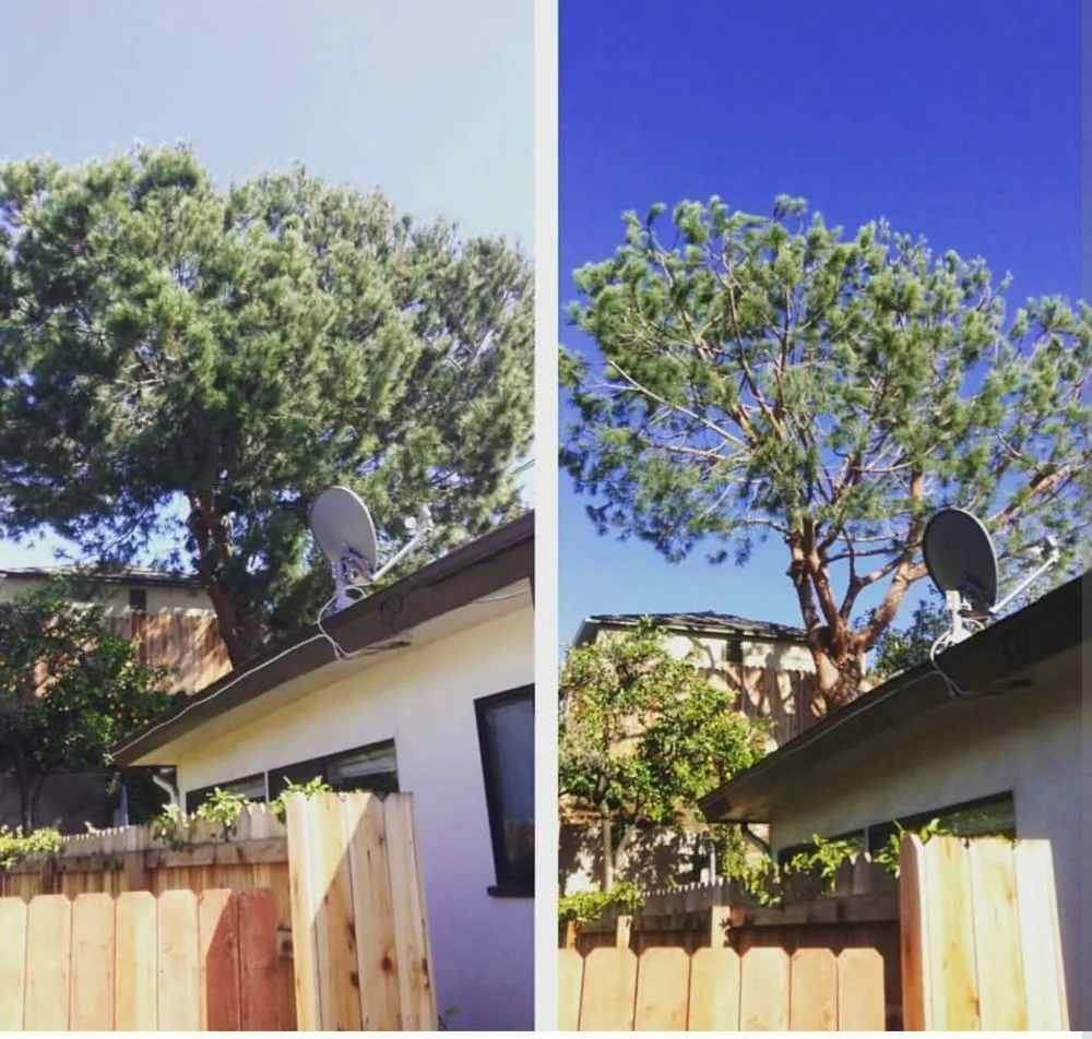 Expert residential landscaping near you across Loxahatchee, FL - Robert's Tree Works