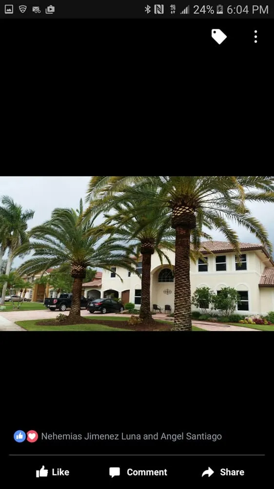 Reliable yard maintenance experts serving Loxahatchee, FL - Robert's Tree Works