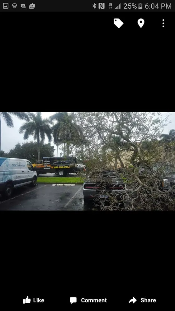 Affordable garden landscaping in Loxahatchee, FL - Robert's Tree Works