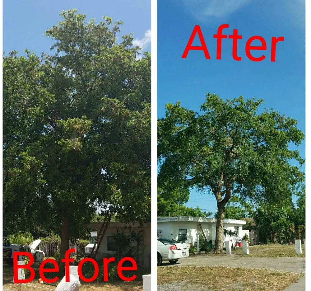Local residential landscaping in Loxahatchee, FL - Robert's Tree Works