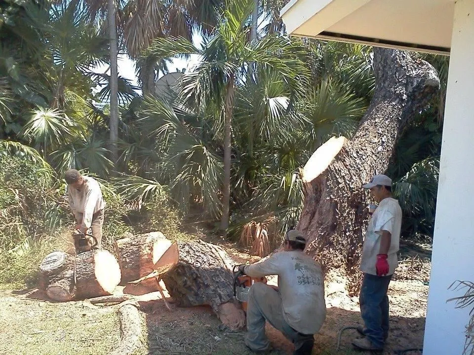Reliable landscaping services for homes across Loxahatchee, FL - Robert's Tree Works